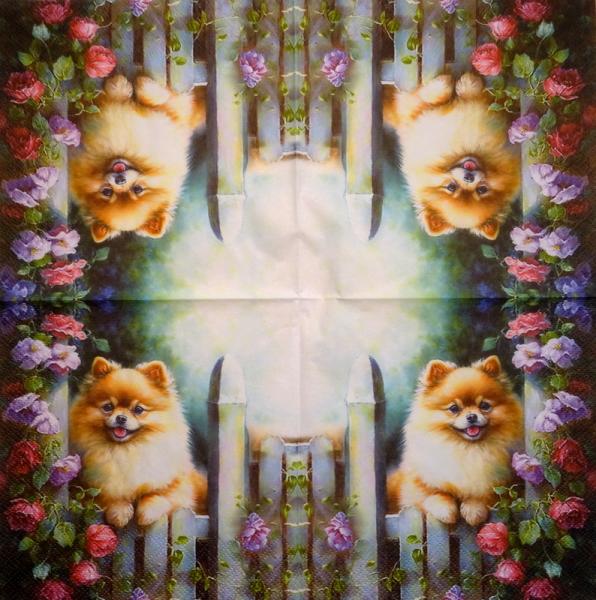 HUN-1506 Dogs - 3-ply - Specials